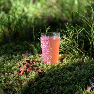 Kroons Cocktails drinkmixer